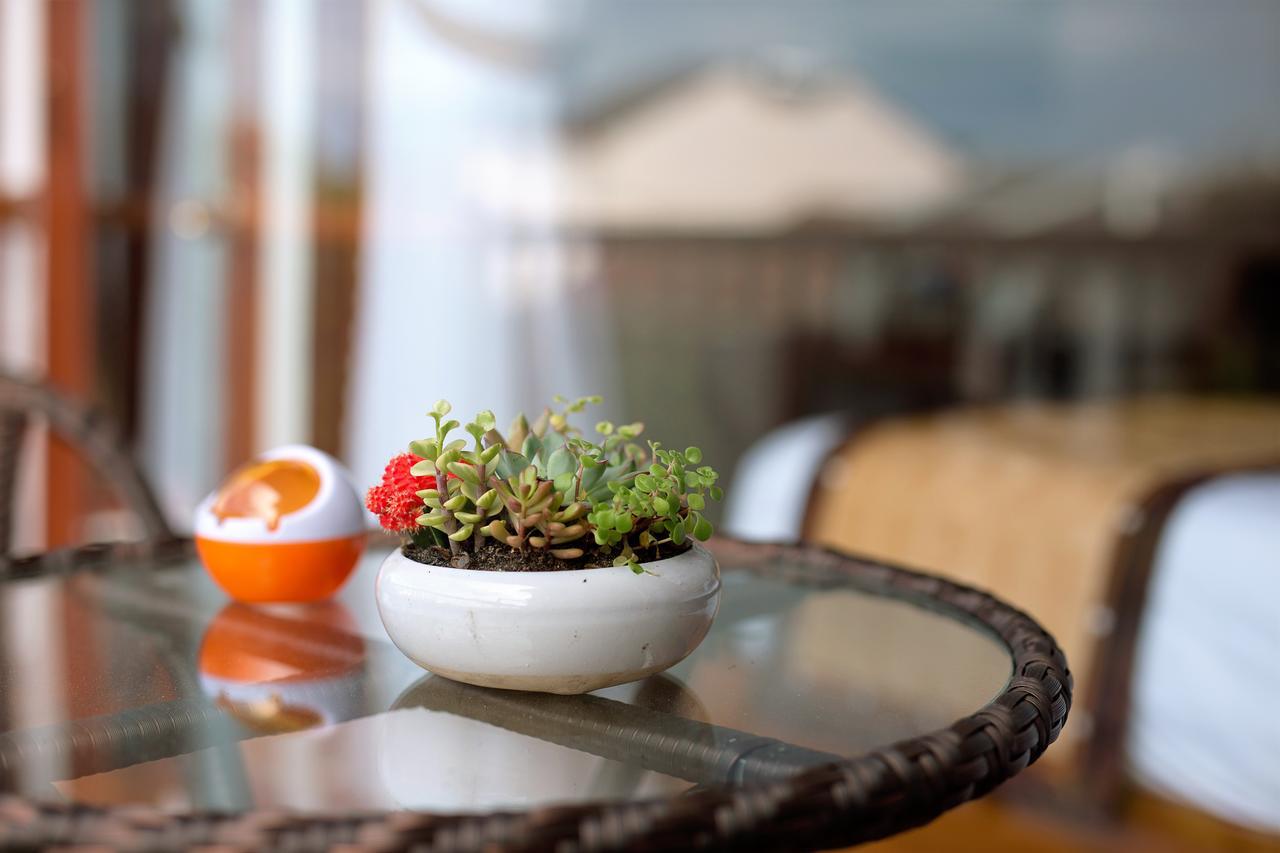 Hoi An VI Khoa Villa Экстерьер фото
